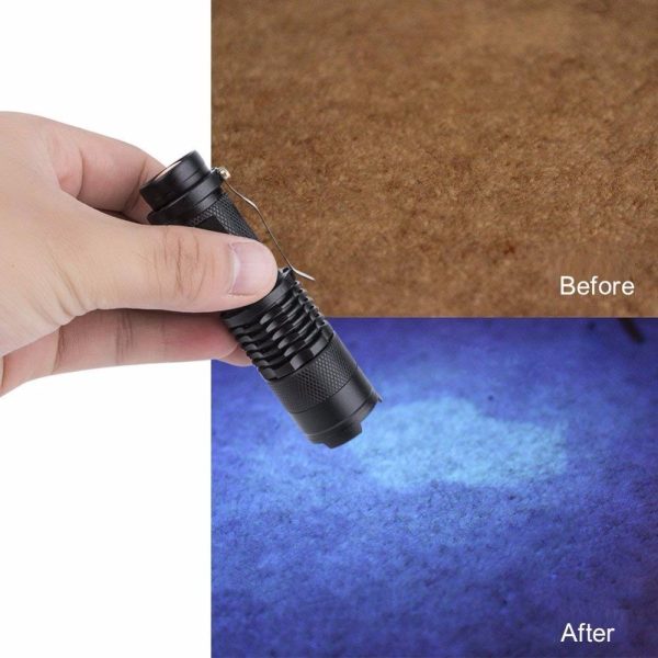 395nm 365nm flashlight detection light - Image 5