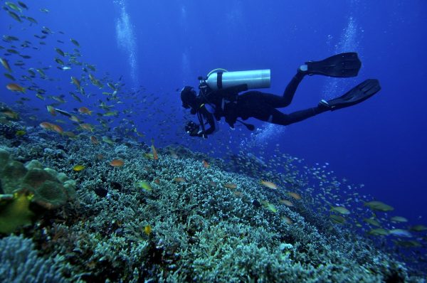 Professional diving torch with water-proof LED charging - Image 7