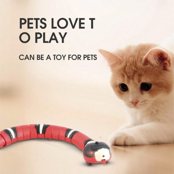 Interactive Electric Induction Snake Funny Cat Toy - Image 2