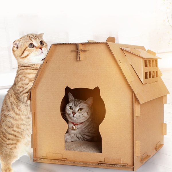 Cat house carton