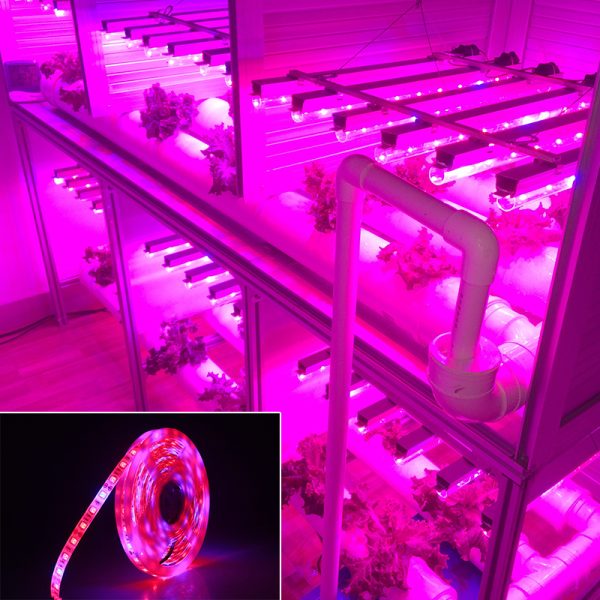 5050Led plant growth soft light bar 5M - Image 4