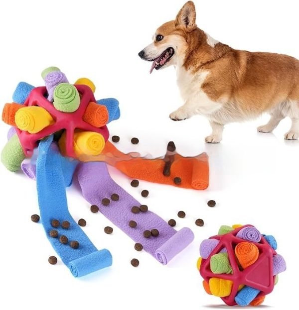 Pet Toy Pet Sniffing Ball Interactive Toy - Image 2