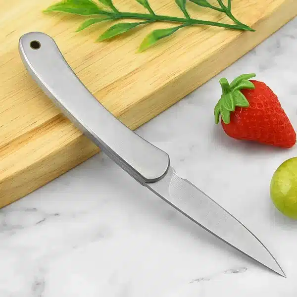 Mini Portable Fruit Knife Vegetable Fruit Peeling Stainless Steel Folding Fruit Knife Lockless Pocket Knife Kitchen Accessories - Image 3