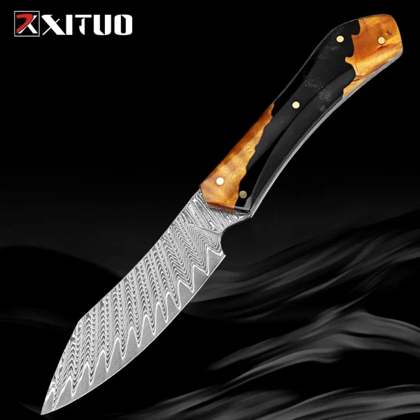 Japanese 3.5 Inch Utility Knife VG10 Damascus Steel Pro Paring Knife Sharp Kitchen Petty Knife Full Tang Resin and Wood Handle