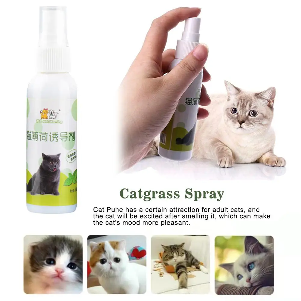 1pcs 50ml Cat Catnip Spray Natural Healthy Safe Long-term Toy Cat Pet Training Scratching CatMint Inducer Effect Pad W0Q4 1