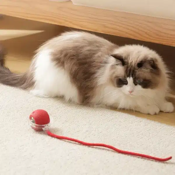 Rechargeable Cat Toys Interactive Smart Pet Interaction Automatic Rolling Ball Toy Accessories for Cats Electric Dog Ball Things 2