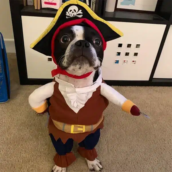 Halloween Pet Dog Clothes Cat Costume Funny Pirate Suit For Small Dogs Transformation Cosplay Apparel Puppy Standing Dress Up 4