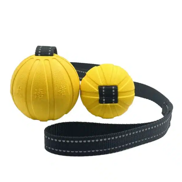 Dog Toy Balls On a Rope for Small Medium Large Dogs Chewers, Durable Interactive Ball for Training Dogs, EVA Foam Ball Floats 5