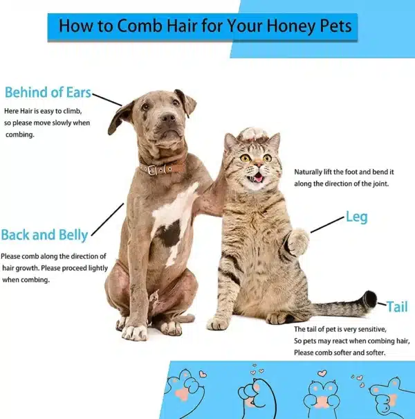 Dog Hair Remover Brush Cat Dog Hair Grooming And Care Comb For Long Hair Dog Pet Removes Hairs Cleaning Bath Brush Dog Supplies 5