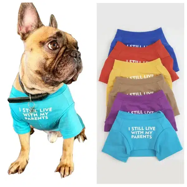 Letters Printed French Bulldog T-shirt Cotton Dog Shirt Breathable Pet Apparel Puppy Sweatshirt Pibull Clothes for Small Dogs 2