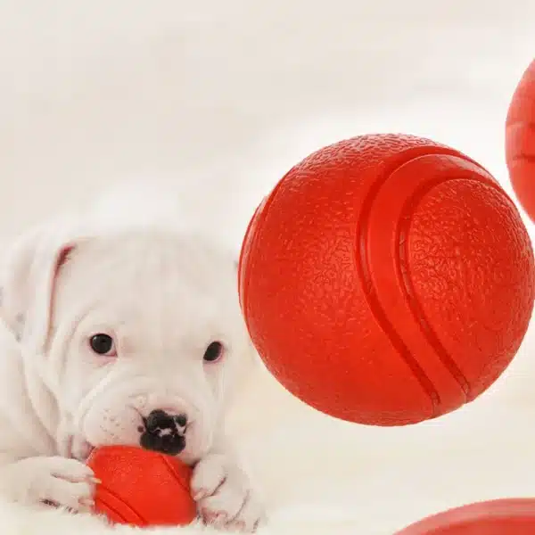 HOOPET Dog Toy Rubber Ball Bite-resistant Ball Toy for Dogs Puppy Teddy Pitbull Red Color Solid Ball S-XL Pet Supplies 3