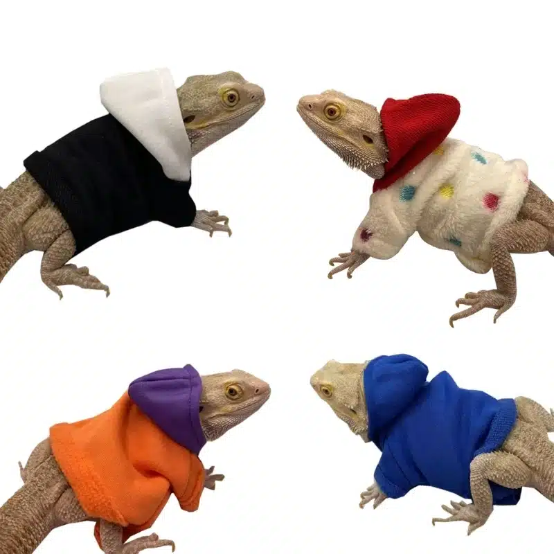 367A Bearded Dragon Costume for Lizards Warm Hoodie Coat Reptiles Small Pet Apparel Outfits Clothes for Geckos Hamsters 1