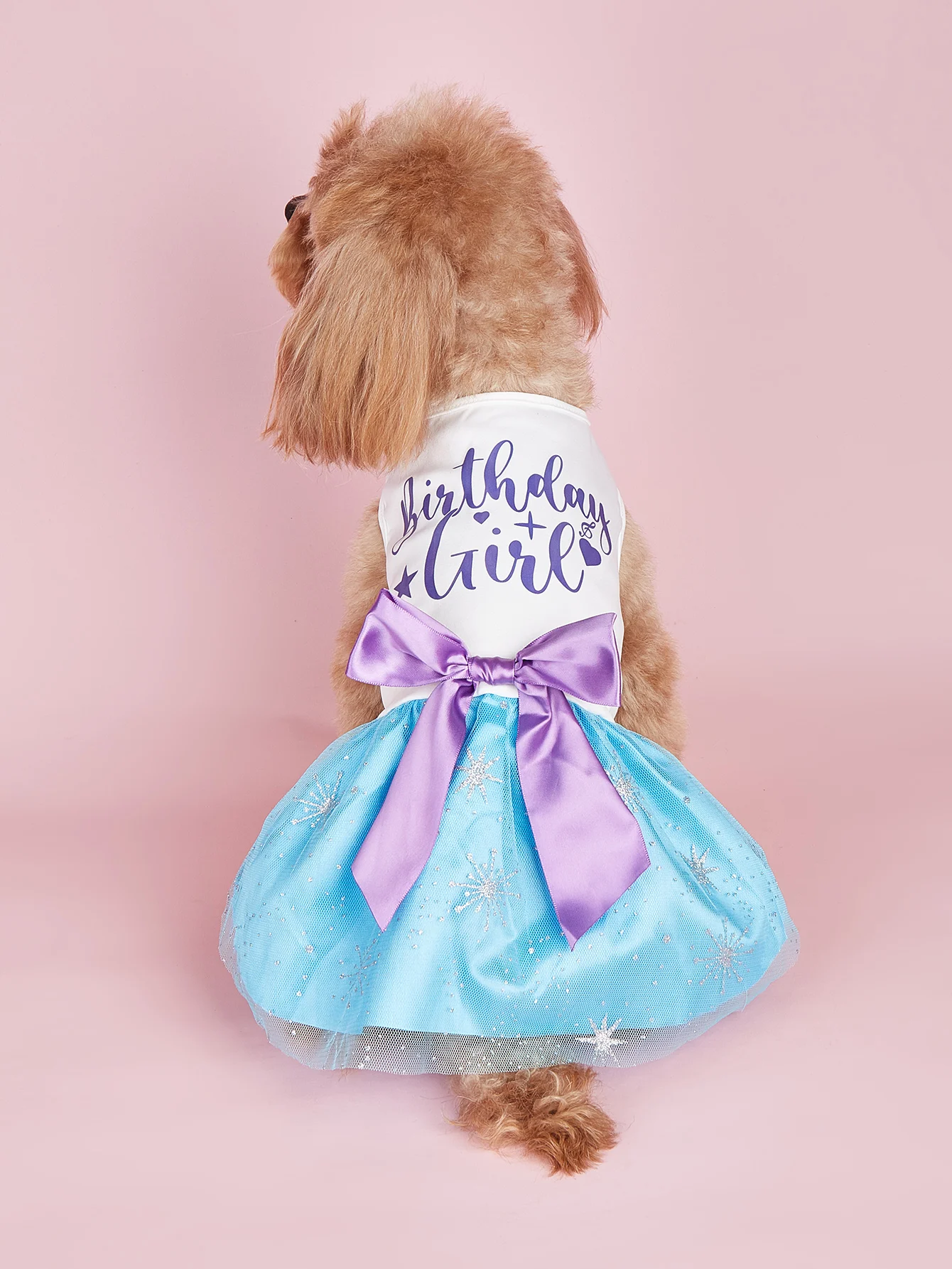 Cute Dog Dress for Small Dogs Girl  Sequin Mesh Summer Tutu Dress Dog Clothes  Cat Apparel Pet Puppy Clothing Doggie Outfits 1