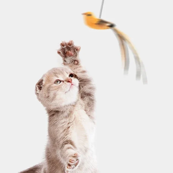 Simulated Bird Cat Toys Upgraded Epoxy Sucker Steel Wire Long Rod Feather Cat Teasing Stick Cat Self Hi No Harmful Ingredients 4