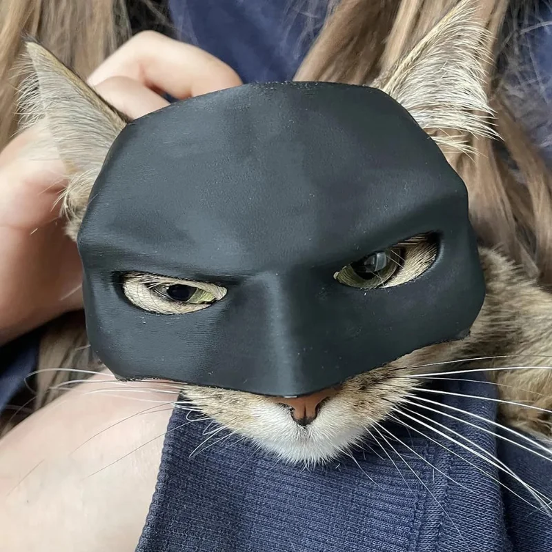 Black Bat Cat Mask Cute Matte Bat Mask Cool Pet Toys For Cat Pet Supplies ﻿ 1