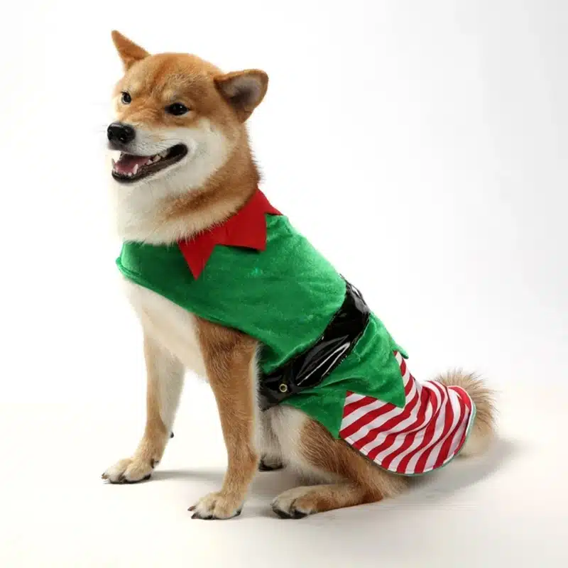 Dog Elf Costume Vest Feastive Pet Apparel for Christmas Holiday Vest Cloth Dropshipping 1