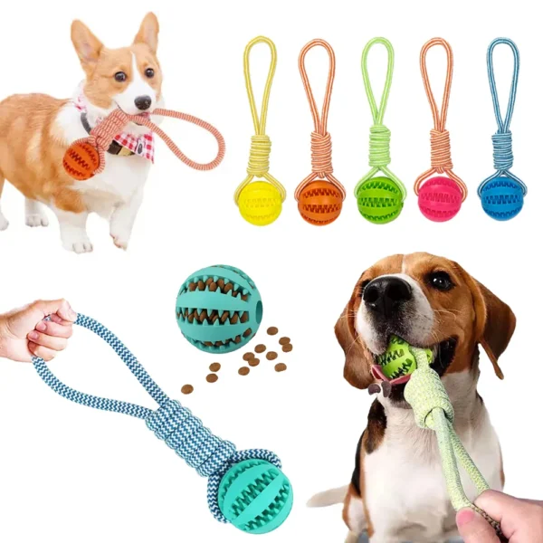 Dog Ball Toy with Rope Interactive Leaking Balls for Small Large Dogs Bite Resistant Chew Toys Puppy Training Pet Accessories 3