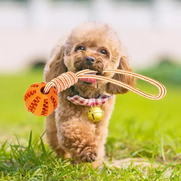 Dog Ball Toy with Rope Interactive Leaking Balls for Small Large Dogs Bite Resistant Chew Toys Puppy Training Pet Accessories 2