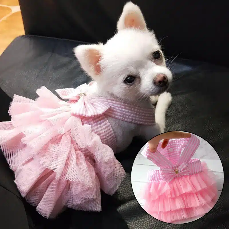 Dog Summer Dress Cat Lace Skirt Pet Clothing Chihuahua Stripe Skirt Puppy Cat Princess Apparel Cute Puppy Clothe Dog Accessories 1