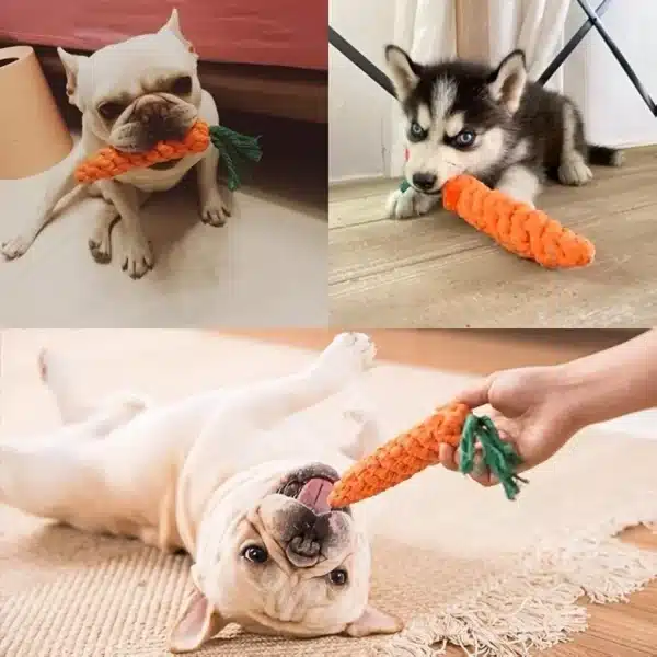 1pc Pet Knot Toy for Dog and Cat Carrot Shape Dog Chew Toys Cotton Rope Toys for Indoor Dogs Cat Toys Dog Accessories 2
