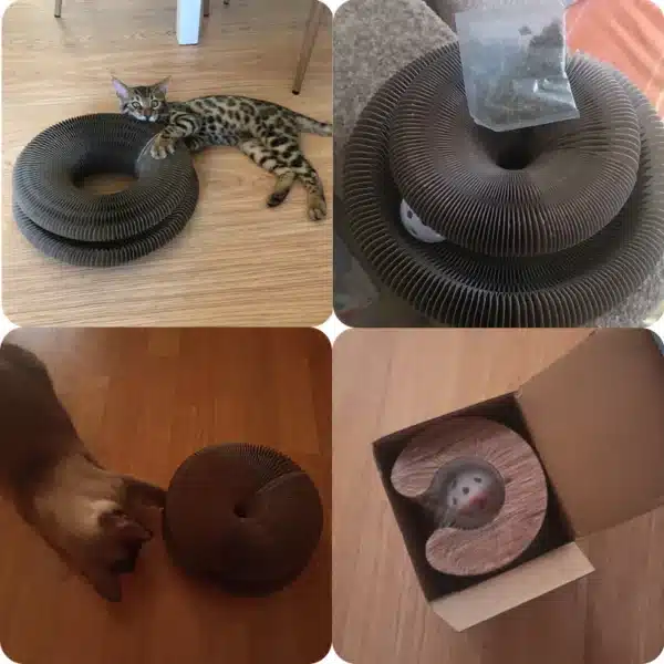Magic Organ Cat Toy Cats Scratcher Scratch Board Round Corrugated Scratching Post Toys for Cats Grinding Claw Cat Accessories 6