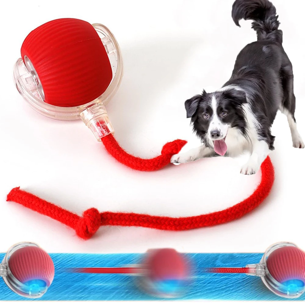 Hot Electric Dog Ball Toys Automatic Rolling Ball Rechargeable Smart Pet Interactive Plush Toy Dog Cat Training Imitate Mouse 1