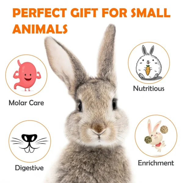32Pcs Timothy Hay Sticks 320g Rabbit Toys Bunny, Guinea Pig Toys Natural Hamster Toys for Teeth Handmade Treats and Chews Chinc 5