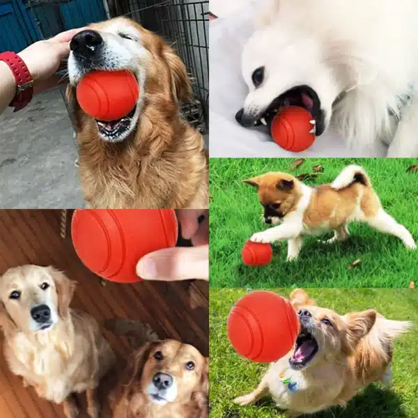 HOOPET Dog Toy Rubber Ball Bite-resistant Ball Toy for Dogs Puppy Teddy Pitbull Red Color Solid Ball S-XL Pet Supplies 4