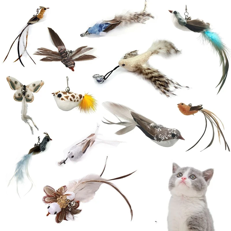 Funny Bird Feather Cat Wand With Bell Accessories Interactive Toys For Cats Kitten Hunting Teaser Exercise Pet Products 1