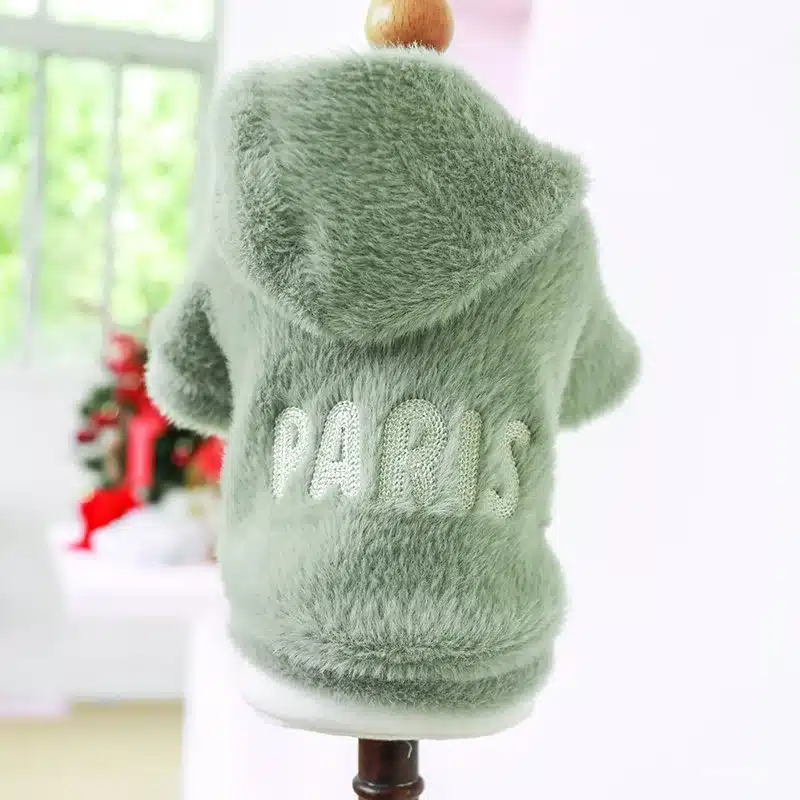 1PC Pet Apparel Cat Dog Autumn and Winter Thickened Warm Green Paris Letter Hat Coat Suitable for Small and Medium sized Dogs 1