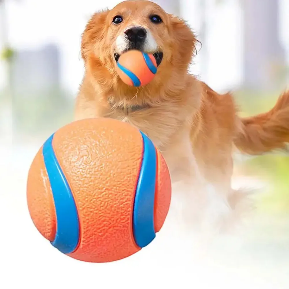 Dog Toy Ball Dog Fetch Ball Toy Tough Pet Ball Puppy Chew Toy Solid Elastic Jumping Ball Pet Accessories For Large Medium Small 1