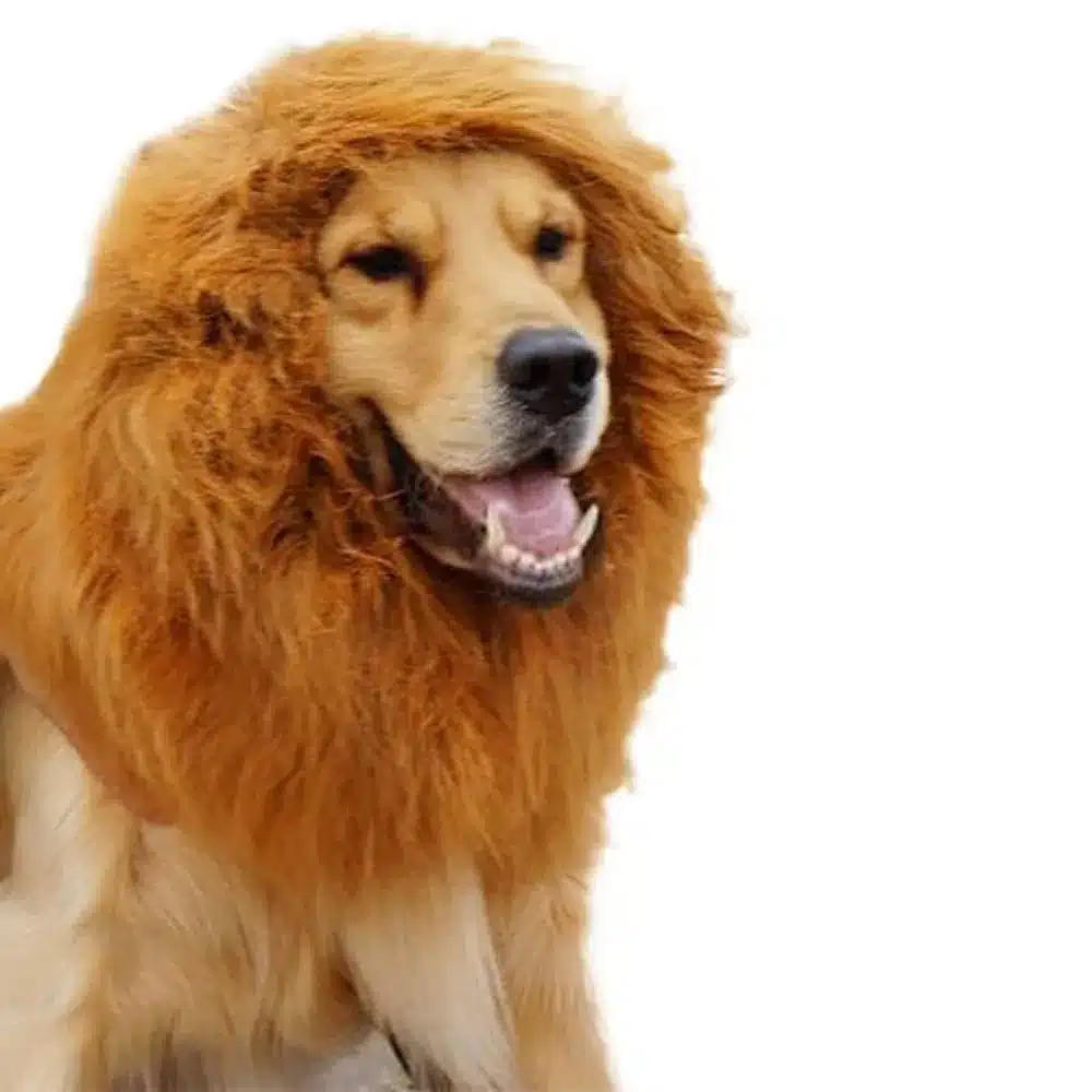 Pet Dog Lion Mane Wig Hair Decor Dog Wig Hair Costume For Large Medium Small Dog Halloween Gift Cosplay Funny Hat Pet Apparel 1