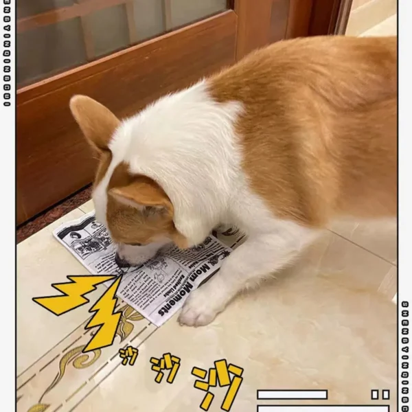 1pc Tearproof Pet Dog Sound Toy Simulated Squeaking Newspaper Playingcard K Q J Teeth Resistant Corgi Teddy Puppy Interactive 2