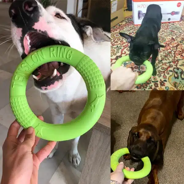 Dog Toys for Big Dogs EVA Interactive Training Ring Puller Resistant for Dogs Pet Flying Discs Bite Ring Toy for Small Dog 2