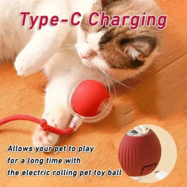 2025 Hot Electric Dog Ball Toys Automatic Rolling Ball Rechargeable Smart Pet Interactive Plush Toy Dog Cat Training 2