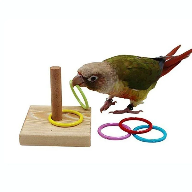 Bird Training Ring Toy Parrot Educational Toys Training Interactive Bird Supplies Bird Toys Random Color игрушки для попугаев 1