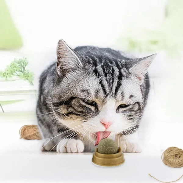 1-10PC Pet Catnip Toys Edible Catnip Ball Safety Healthy Cat Mint Cats Chasing Game Toy Products Clean Teeth The Stomach Catmint 4