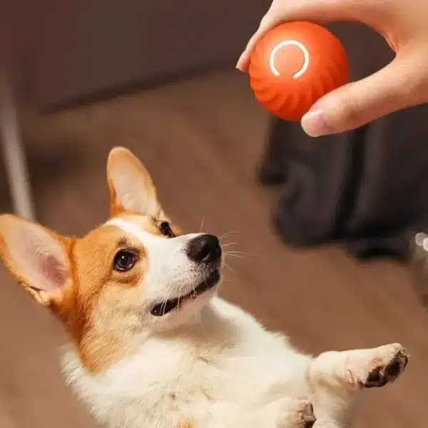 Dog Toy Ball Automatic Moving Bouncing Rolling Ball USB Smart puppy Interactive Dog Chew Toy Ball 5
