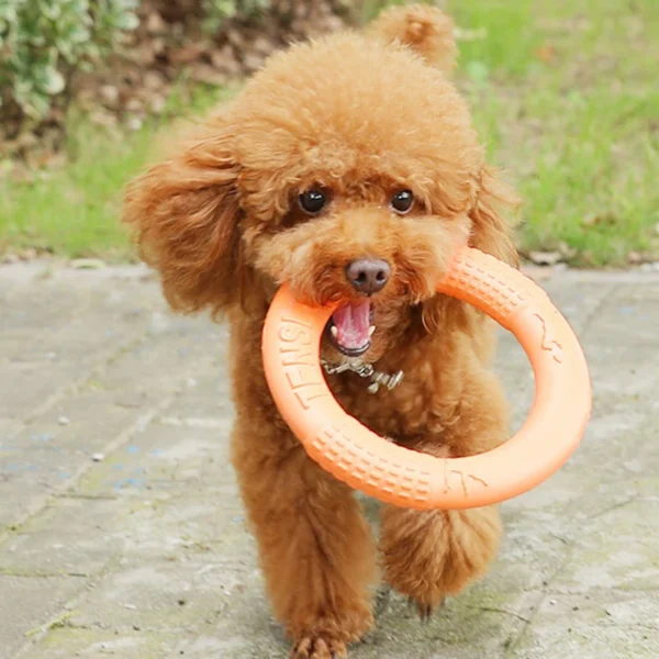 1pc Orange Dog Toys Pet Flying Disk Training Ring Puller EVA Interactive Training Ring Puller Resistant for Dogs 2