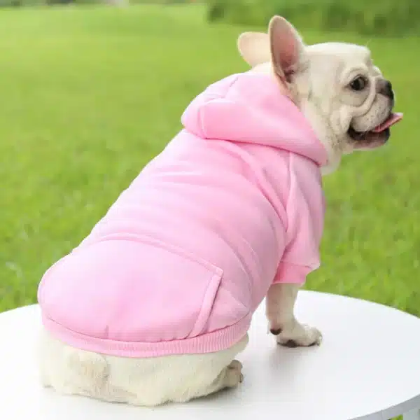 Dog Winter Warm Hooded Sweatshirt For Small Medium Dog Pet Coat Puppy Cat Apparel Outfit Clothes For Chihuahuas French Bulldog 5