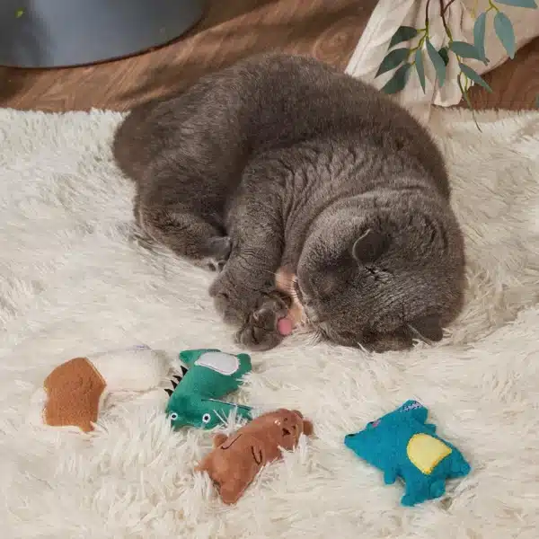 Cats Toy with Catnip Plush Cat Toys for Kitten Teeth Grinding Thumb Pillow Chewing Toy Claws Thumb Bite Pet Accessories 3