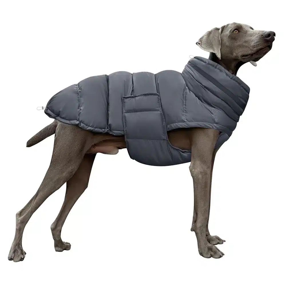 Dog Puffer Jacket Warm Winter Coat with Leash Hole Adjustable Snowsuit Waterproof Pet Apparel Reflective Clothes for Large Dogs 1