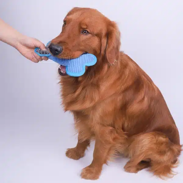 Plush Squeaky Bones Toys, Suitable for Small, Medium and Large Dogs, Stuffed Toys, Puppy Birthday Gifts 6
