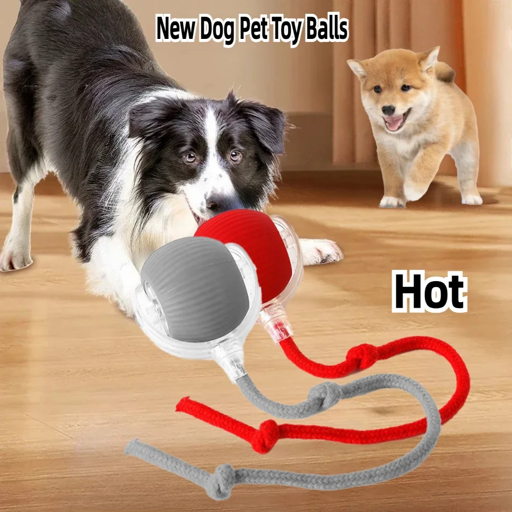 Rechargeable Smart Pet Interactive Automatic Rolling Ball Toy Cats Pet Products New Electric Dog Ball Toy Simulated Tail For Cat 1