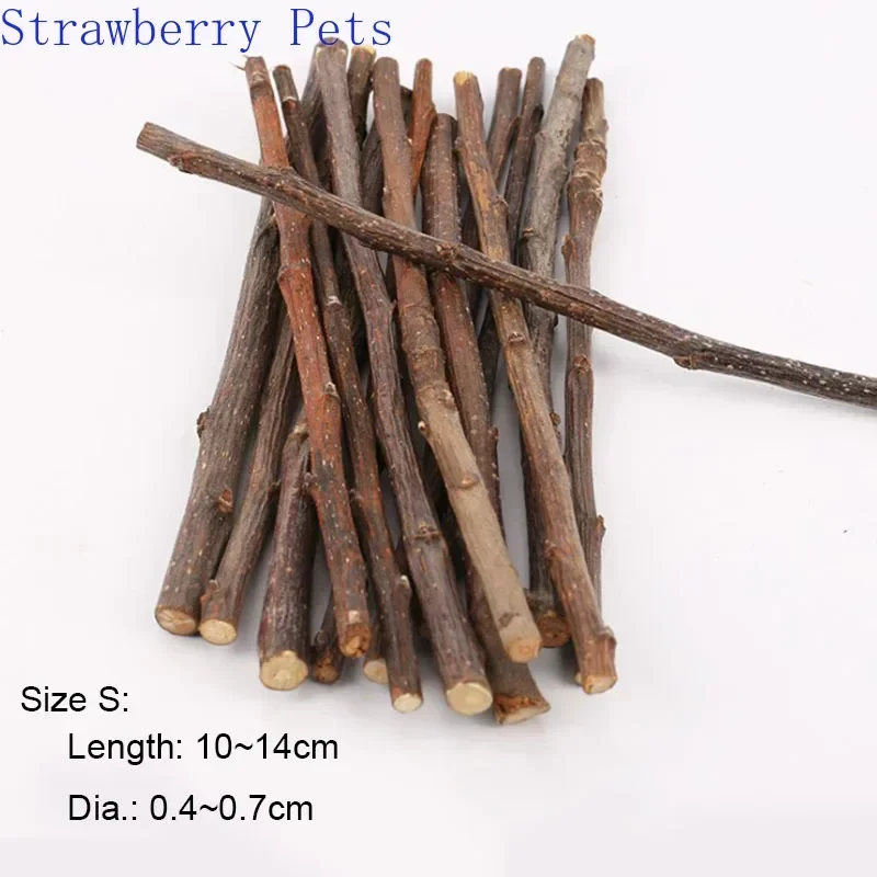 5pcs 10pcs 40pcs Chew Stick Apple Tree Branch Hamster Squirrel Natural Toys Parrots Rabbits Grinding Stick 1