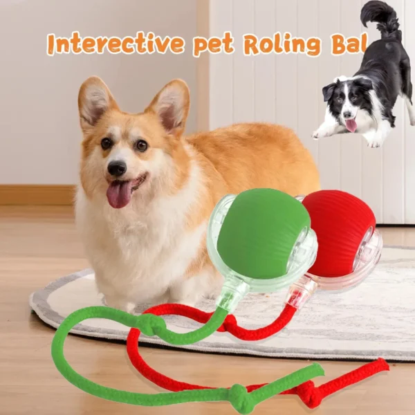 2025 Hot Electric Dog Ball Toys Automatic Rolling Ball Rechargeable Smart Pet Interactive Plush Toy Dog Cat Training 1