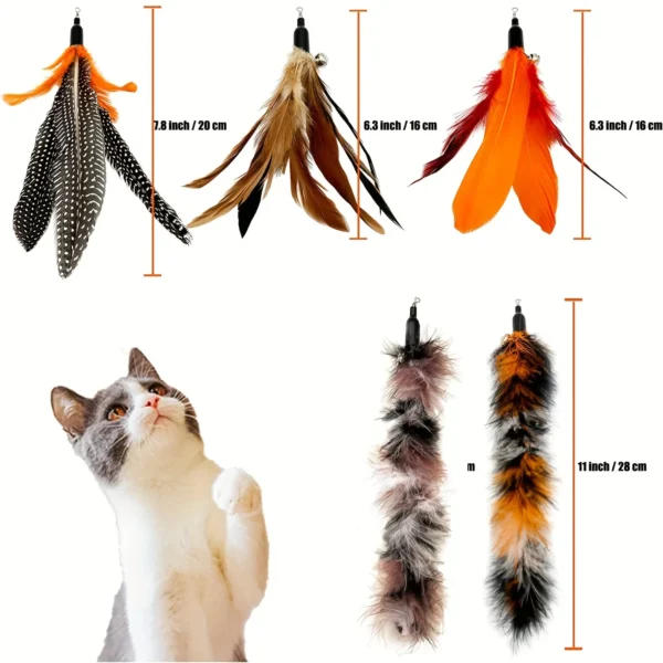 6 PCS Cat Toy Feather Replacement Cat Wand Refills Natural Bird Feathers Refill, Replacement Feathers Cat Toy for Indoor Cats 4