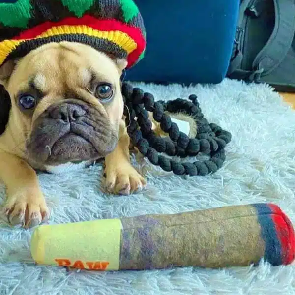 Funny Interactive Dog Toys - Cigar Design Plush Squeaky Pet Toys Grinding Teeth Creative Chew Toy For Small Medium Dog 5
