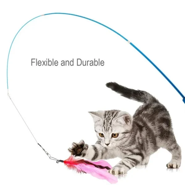 11pcs Replacement Cat Feather Toy Set Feather Replacement Head Retractable Cat Stick Cat Products 2