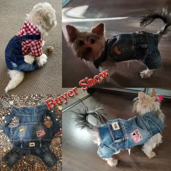 Spring Pet Dog Jumpsuit Denim Overalls for Dogs Plaid Jeans Jacket Pants Suit Onesies Small Dog Clothes Yorkie Chihuahua Apparel 5